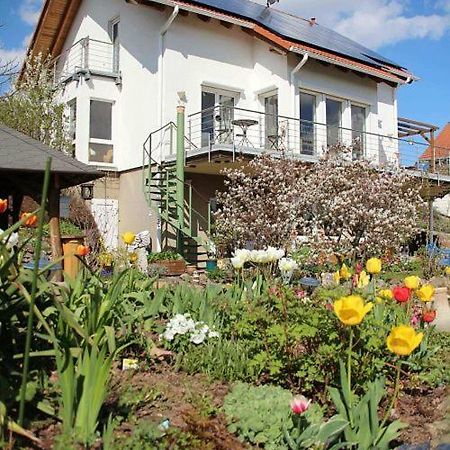 Ferienwohnung Dr. Vera Schmidt Kreischa Екстериор снимка