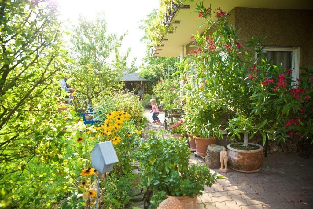Ferienwohnung Dr. Vera Schmidt Kreischa Екстериор снимка