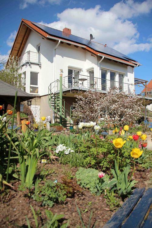 Ferienwohnung Dr. Vera Schmidt Kreischa Екстериор снимка